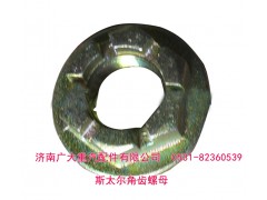 179000320013,斯太尔角齿螺母 贯通轴螺母,济南鑫巨鼎汽车配件有限公司