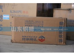 VG1540080110,飞宙滤芯柴油滤清器,山东铜狮汽车零部件有限公司
