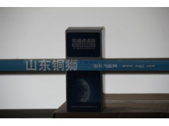 VG1560080012,飞宙滤芯柴油滤清器,山东铜狮汽车零部件有限公司