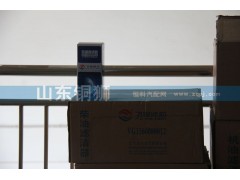 VG1560080012,飞宙滤芯柴油滤清器,山东铜狮汽车零部件有限公司