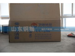 UC-206,飞宙滤芯柴油滤清器粗滤,山东铜狮汽车零部件有限公司