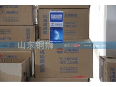 VG1540070007  1012010A53DM,飞宙滤芯机油滤清器,山东铜狮汽车零部件有限公司