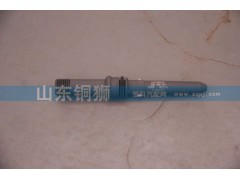 612630090004,高压油管接头,山东铜狮汽车零部件有限公司