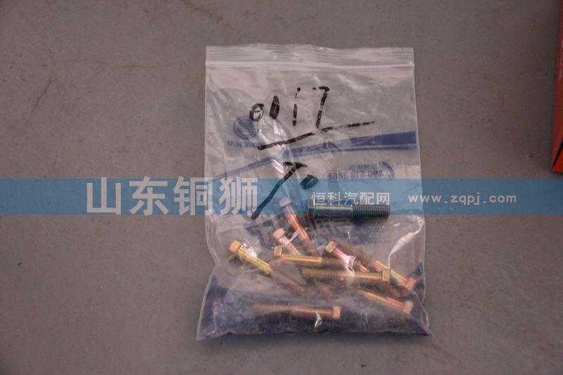90011350017,六角头螺栓,山东铜狮汽车零部件有限公司
