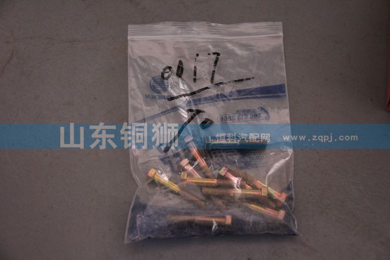 90011350017,六角头螺栓,山东铜狮汽车零部件有限公司