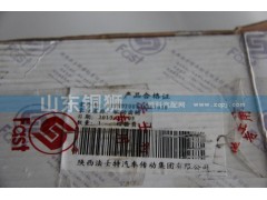 12JSD200T-1707030,驱动齿轮,山东铜狮汽车零部件有限公司