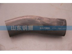 61800060157,软管,山东铜狮汽车零部件有限公司