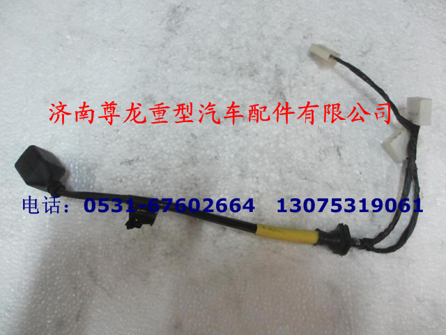 DZ9100773024,右组合后灯电线,济南尊龙(原天盛)陕汽配件销售有限公司