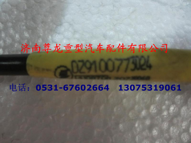 DZ9100773024,右组合后灯电线,济南尊龙(原天盛)陕汽配件销售有限公司