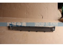 WG1664242009,保险杠装饰网I（上部用的）T7,济南武城重型车外饰件厂