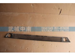 WG1664243011,保险杠装饰网（下部用的）T7,济南武城重型车外饰件厂