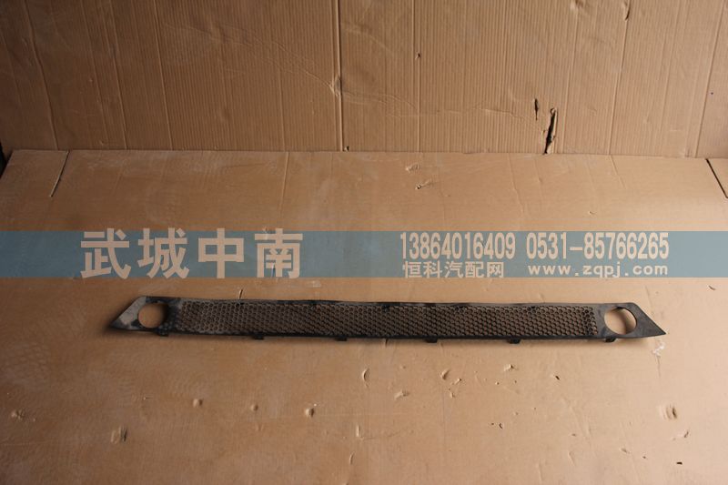 WG1664243011,保险杠装饰网（下部用的）T7,济南武城重型车外饰件厂
