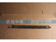 WG1664243011,保险杠装饰网（下部用的）T7,济南武城重型车外饰件厂