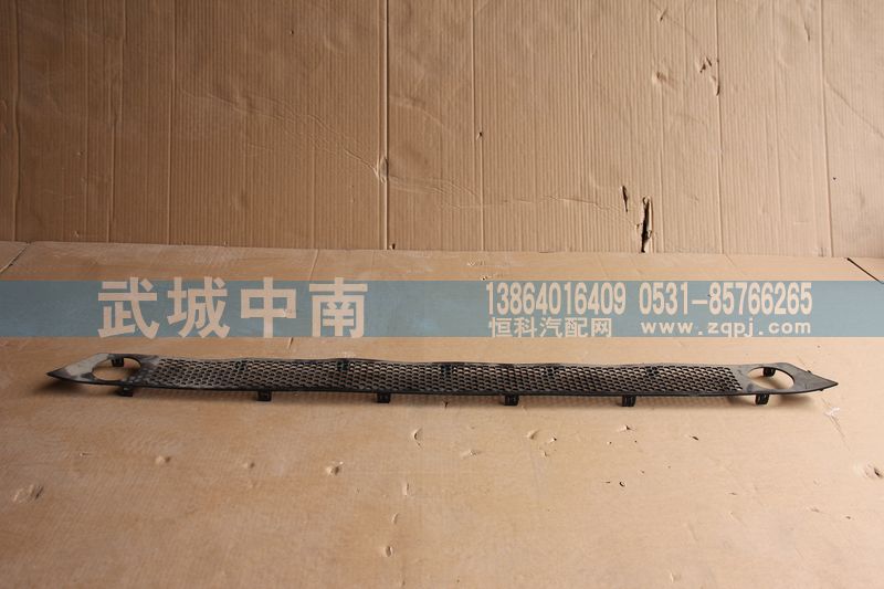 WG1664243011,保险杠装饰网（下部用的）T7,济南武城重型车外饰件厂