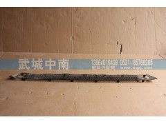 WG1664243011,保险杠装饰网（下部用的）T7,济南武城重型车外饰件厂