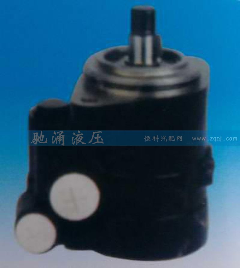 ZF 7673 955 219,转向助力泵,济南驰涌贸易有限公司