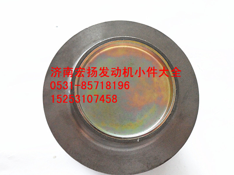 涨紧轮  61400060161/61400060161