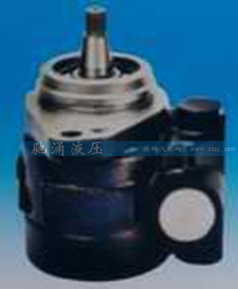 ZF 7674 955 217,转向助力泵,济南驰涌贸易有限公司
