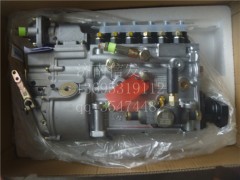 VG1096080160,高压油泵,济南信发汽车配件有限公司