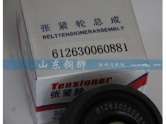 612630060881,涨紧轮总成,山东铜狮汽车零部件有限公司