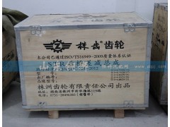 ,株齿 STR后桥差减总成,山东铜狮汽车零部件有限公司