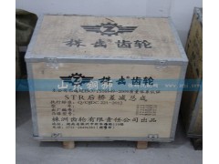 ,株齿 STR后桥差减总成,山东铜狮汽车零部件有限公司