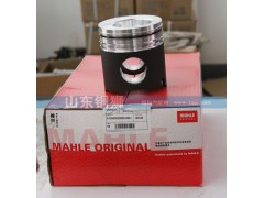 612600030009-000,WD615.68活塞,山东铜狮汽车零部件有限公司