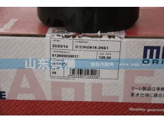 612600030017,马勒潍柴WD618-2NS1活塞,山东铜狮汽车零部件有限公司