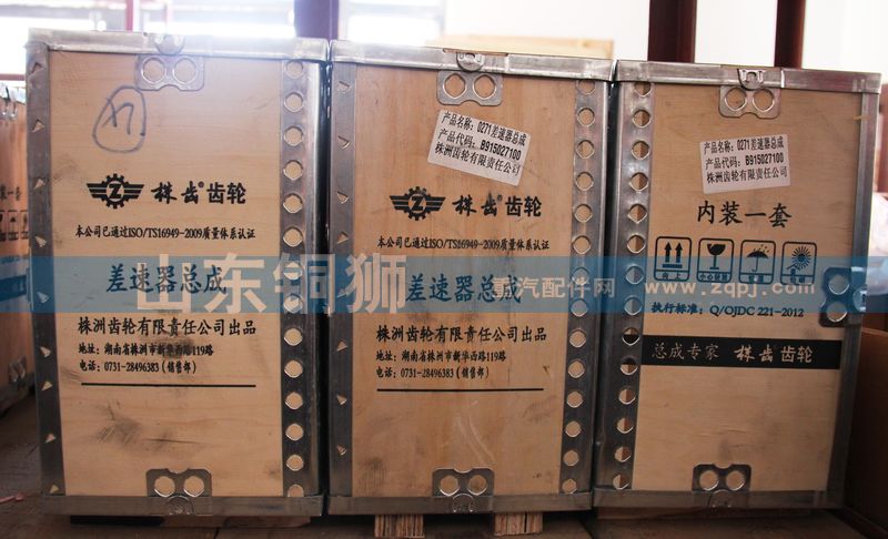 株齿 齿轮 差速器总成B913016600/B913016600