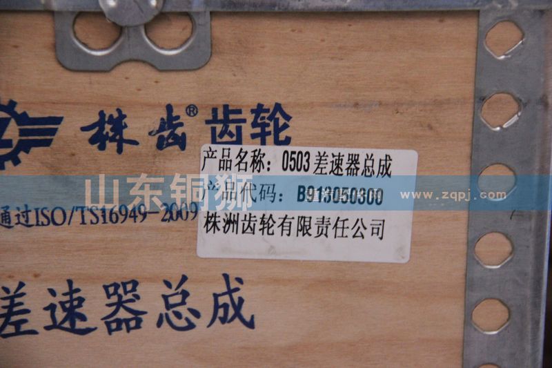 株齿0503差速器总成B913050300/B913050300
