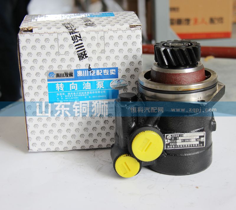 DZ9100130004Q,秦川转向油泵,山东铜狮汽车零部件有限公司