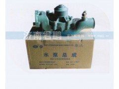 VG1246060094,水泵总成,济南君鹏国际贸易有限公司