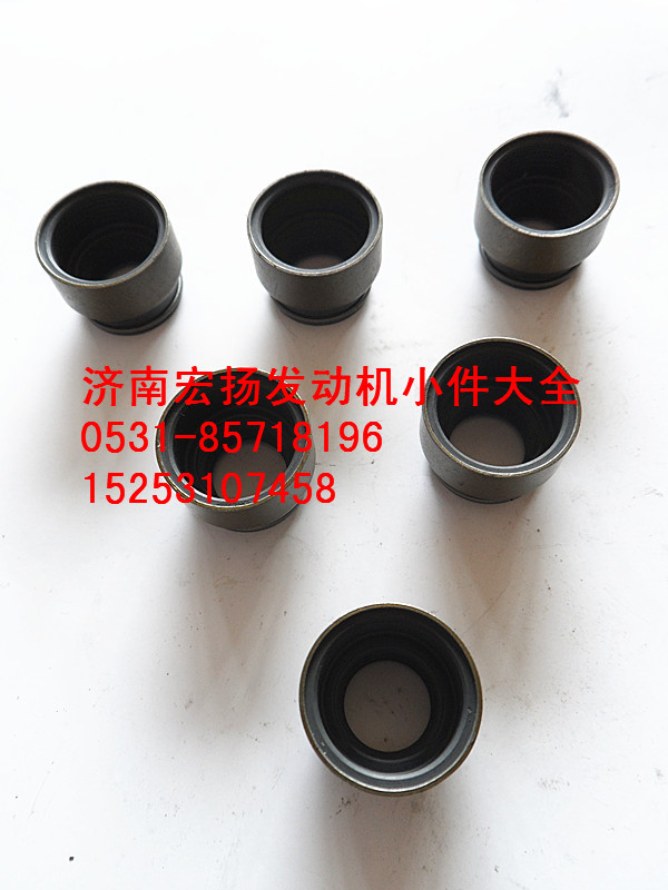 濰柴歐II氣門油封   612600040114/612600040114