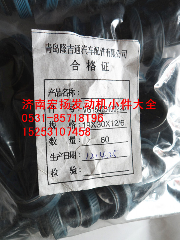 骨架油封  VG1540040022A/VG1540040022A