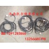 重汽豪沃 斯太尔金王标准驾驶室电线束AZ9719770005