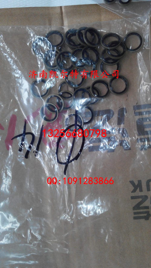 VG2600080200,密封垫圈,济南凯尔特商贸有限公司