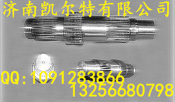 AZ9981320105,输入轴,济南凯尔特商贸有限公司