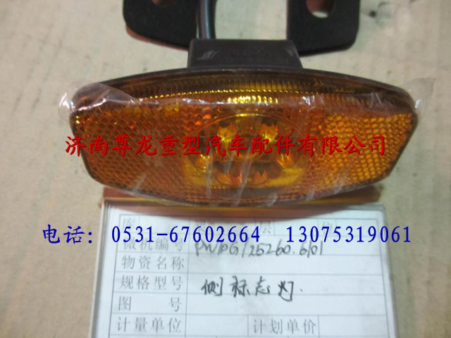 PW10G-25260.6101,陕汽德龙M3000侧标志灯,济南尊龙(原天盛)陕汽配件销售有限公司