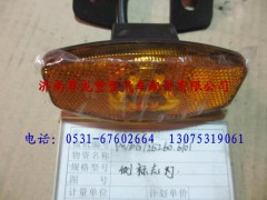 PW10G-25260.6101,陕汽德龙M3000侧标志灯,济南尊龙(原天盛)陕汽配件销售有限公司