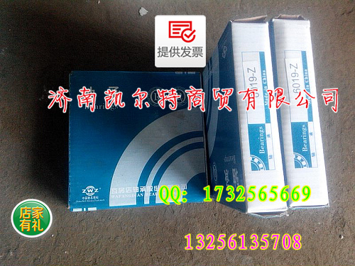 供应汽车配件轴承批发6019Z轴承/6019Z轴承