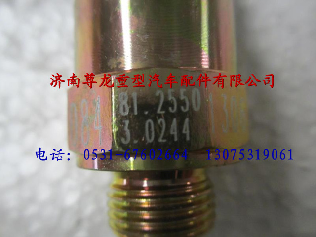 81.25503.0244,陕汽德龙F3000差速器压力开关,济南尊龙(原天盛)陕汽配件销售有限公司