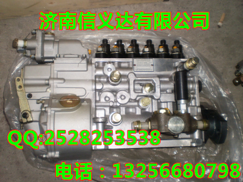 VG1560080021,国产高压喷油泵带K型调速器,济南凯尔特商贸有限公司
