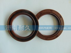 ,STR一轴油封,济南耐久橡业有限公司