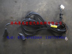 DZ93189776661,陕汽重卡德龙奥龙轮轴差线束,济南尊龙(原天盛)陕汽配件销售有限公司