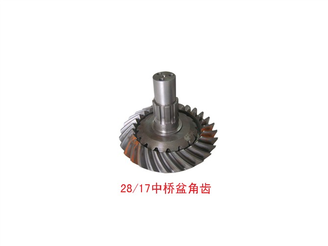 斯太尔豪沃17/28中桥盆角齿图2