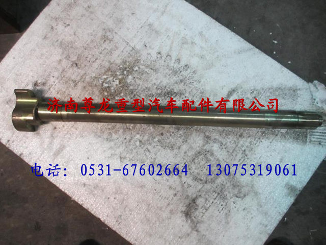 DZ9112340283,陕汽汉德车桥制动凸轮轴（左）,济南尊龙(原天盛)陕汽配件销售有限公司