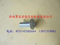 DZ90004400001,陕汽重卡德龙奥龙空心铆钉,济南尊龙(原天盛)陕汽配件销售有限公司