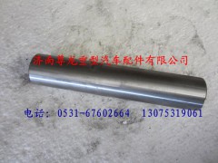 DZ9100410362,陕汽德龙M3000主销,济南尊龙(原天盛)陕汽配件销售有限公司