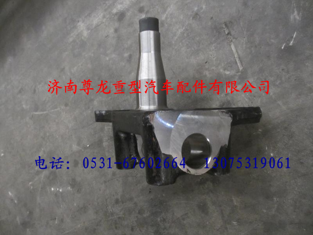 DZ9100410215,陕汽德龙F3000盘式转向节（左）,济南尊龙(原天盛)陕汽配件销售有限公司
