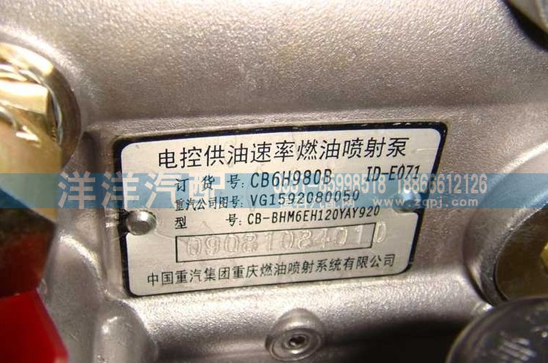 大泵总成/